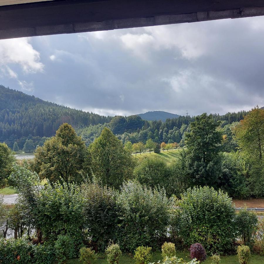 Ferienwohnung Am See Winterberg Bagian luar foto