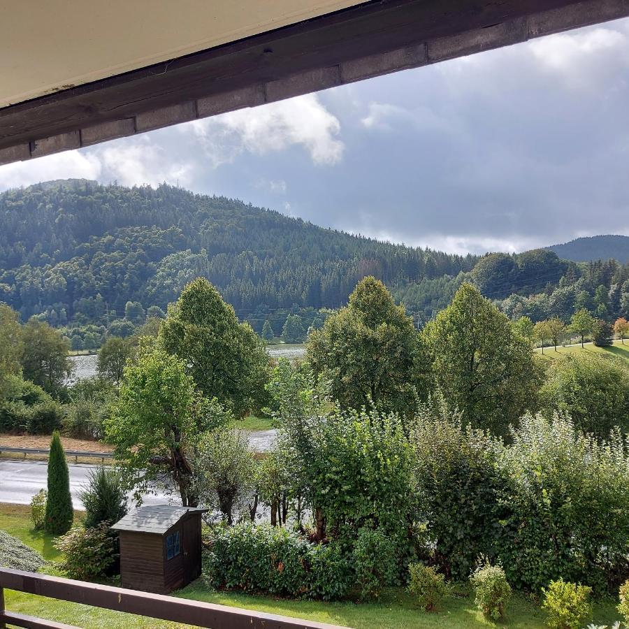 Ferienwohnung Am See Winterberg Bagian luar foto