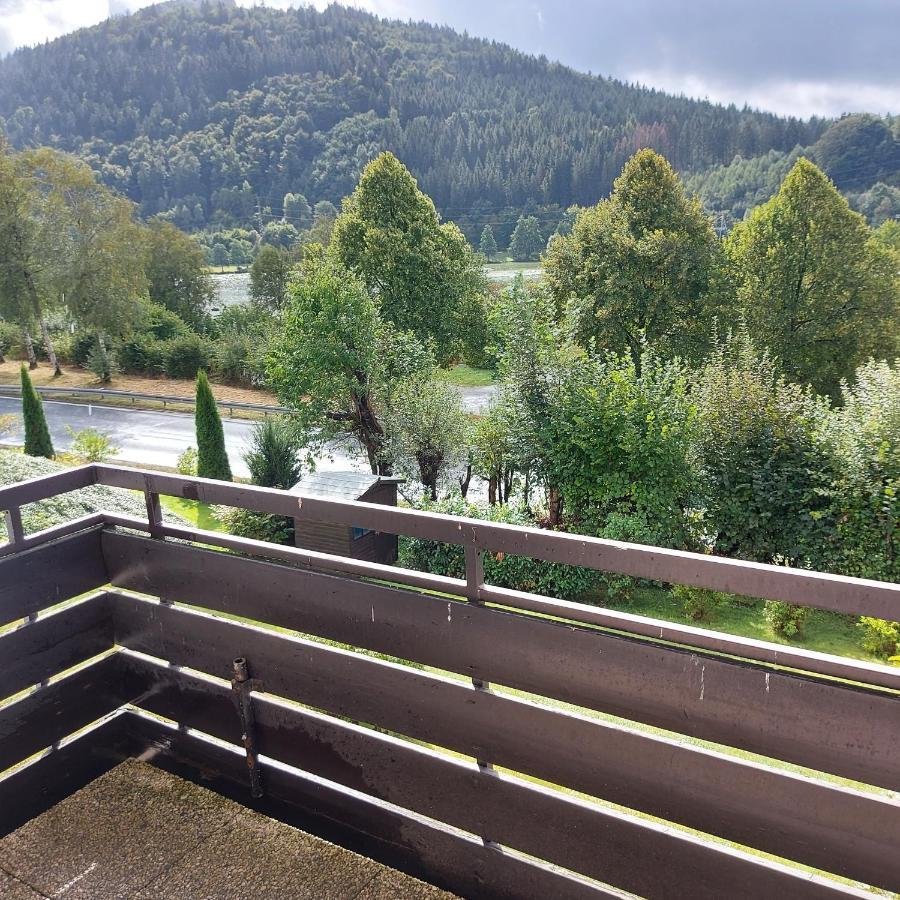 Ferienwohnung Am See Winterberg Bagian luar foto